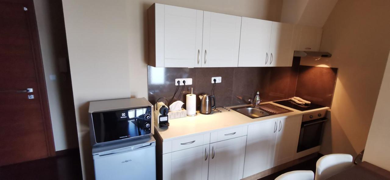 Moser Apartment Carlsbad Karlovy Vary Eksteriør bilde