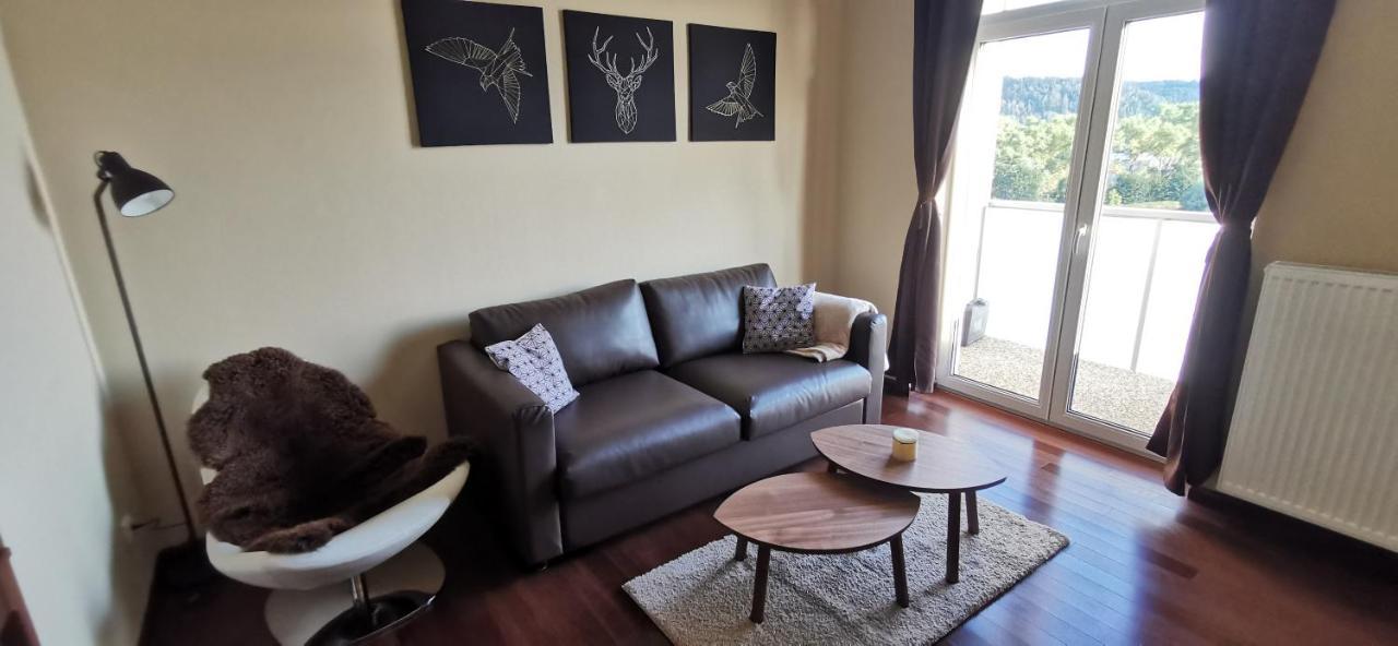 Moser Apartment Carlsbad Karlovy Vary Eksteriør bilde