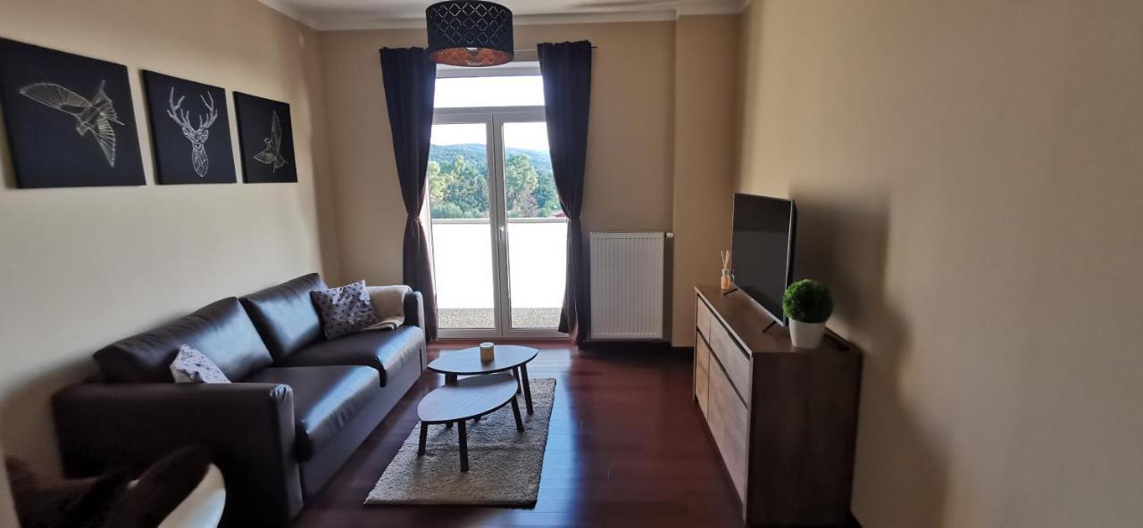 Moser Apartment Carlsbad Karlovy Vary Eksteriør bilde